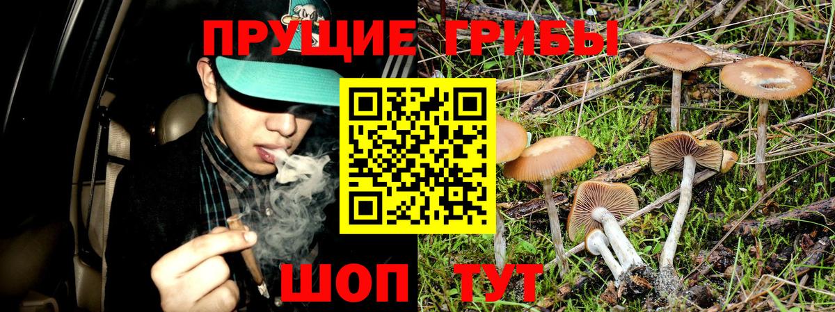 Галлюциногенные грибы Magic Shrooms Скопин