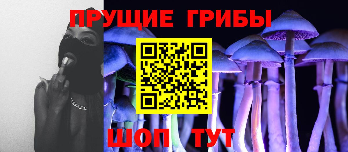 Псилоцибиновые грибы MAGIC MUSHROOMS  Галлюциногенные грибы Magic Shrooms  Вход с VPN  Скопин 